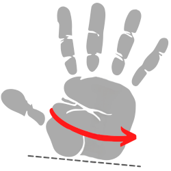  Grafische weergave van een handpalm. Een rode pijl markeert het punt waar een meetlint moet worden geplaatst om de handomtrek te meten.